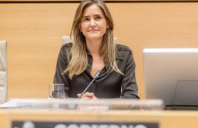 ep la vicepresidenta tercera del gobierno y ministra para la transicion ecologica y reto demografico 20250211140205