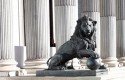 ep leoncongreso 20181105184509 ep leoncongreso 20181105184509