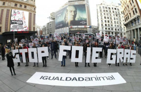ep mas de un centenar de activistas reclaman al gobierno que prohiba la produccion de foie gras en