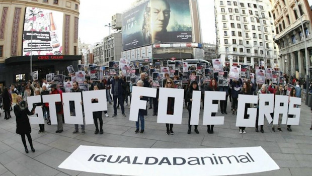ep mas de un centenar de activistas reclaman al gobierno que prohiba la produccion de foie gras en
