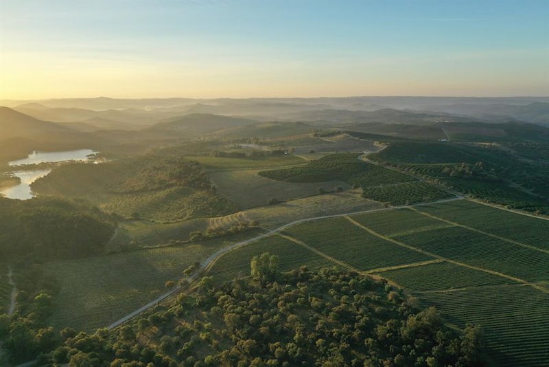 ep miura impulsa un fondo de inversion agroalimentario de 350 millones