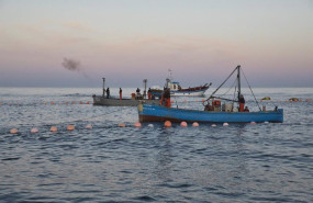 ep varios pescadores durante la levanta del atun en las inmediaciones de barbate a 27 de mayo de