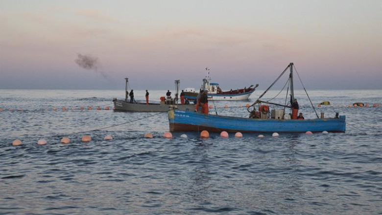 ep varios pescadores durante la levanta del atun en las inmediaciones de barbate a 27 de mayo de