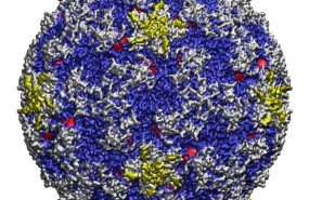 ep virus 20180405133403