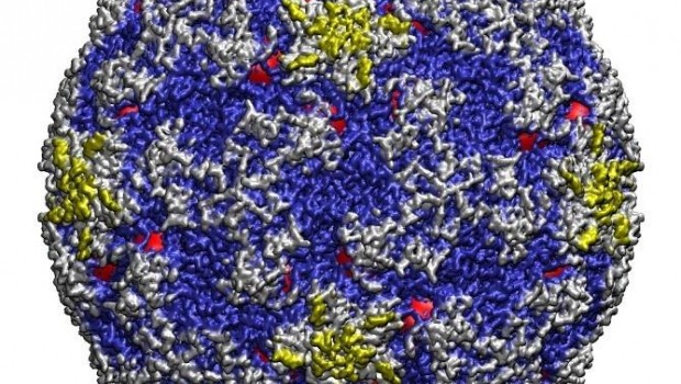 ep virus 20180405133403