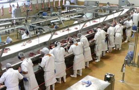 Food manufacturing Food manufacturing