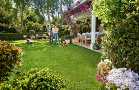 stihl 03 20240627161626 