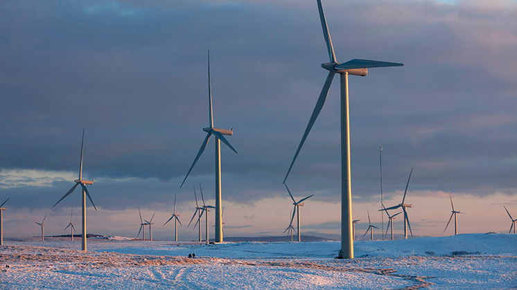 whitelee