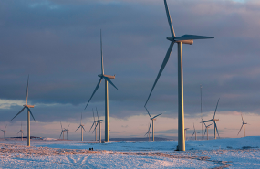 whitelee whitelee