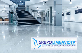 1611922010 puligaviota como realizar la limpieza pulido y mantenimiento del marmol