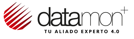 1628596350 logo datamon tu aliado experto 1 
