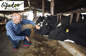 1648800430 pienso ecologico vacas