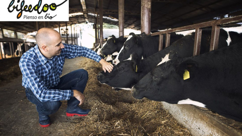 1648800430 pienso ecologico vacas