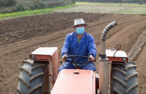 ep archivo   manuel rodriguez ara sus fincas con el tractor y mascarilla para plantar patatas en