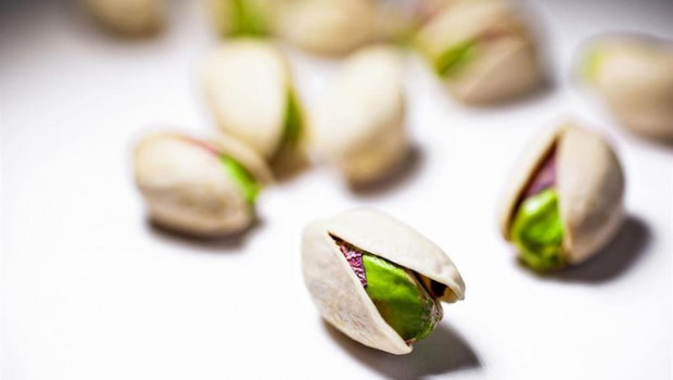 ep la fundacion dieta mediterranea coloca a los pistachos en la cuspide de los pistachos de la nueva