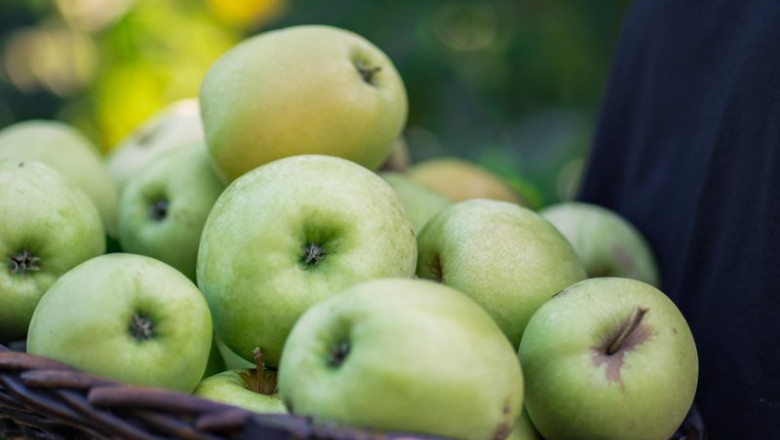 ep manzanas