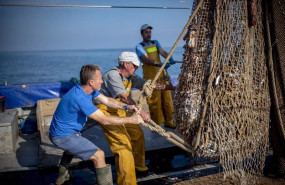 ep mas de 2700 pescadores de 47 puertos espanoles recogen 150 toneladas de basura marina en 2024 con
