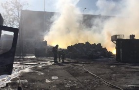 ep pidenvecinoshumanes grinonmoralejano salgan