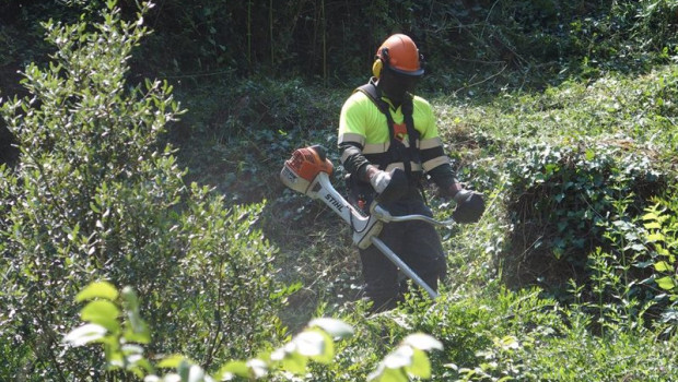 ep un trabajador realiza labores de tala y poda de las masas forestales que rodean la red de