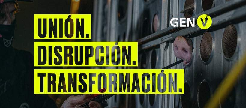 genv smbanners es facebook 02