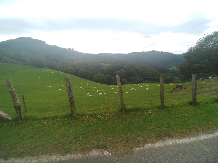 1234959 1649149429576