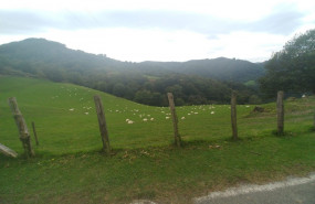 1234959 1649149429576