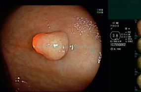 1240039 1665063878421