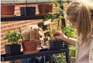 1592816421 sprout world educacionmedioambiental