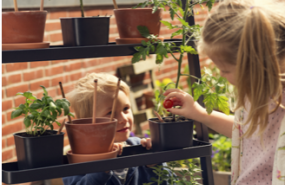 1592816421 sprout world educacionmedioambiental