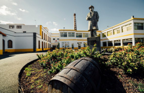 1607596086 destileri a2 1607596086 destileri a2