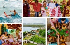 collage np panam collage np panam