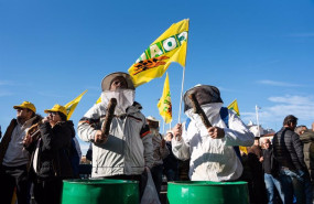 ep archivo   apicultores durante una protesta de agricultores y ganaderos frente al ministerio de