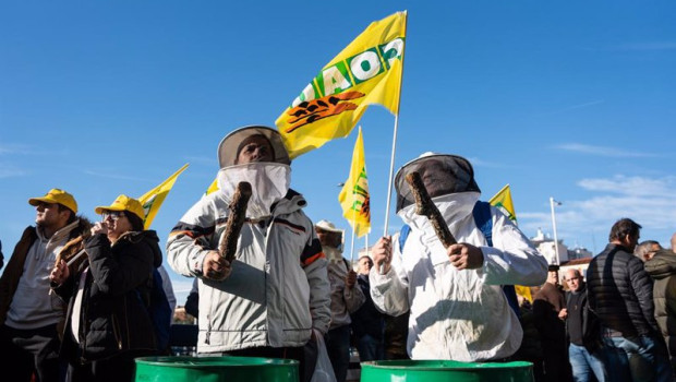 ep archivo   apicultores durante una protesta de agricultores y ganaderos frente al ministerio de