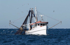 ep archivo   barco pesquero en aguas andaluzas