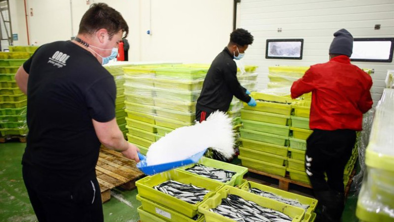 Archivo - El Ministerio abre la campaña de la anchoa en el golfo de Vizcaya y Cantábrico con 1.875 toneladas más. | Carlos Castro - Europa Press - Archivo ep archivo el ministerio abre la campana de la anchoa en el golfo de vizcaya y cantabrico con 1875