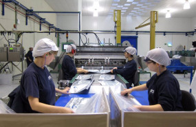 ep archivo   trabajadores en una fabrica 2014