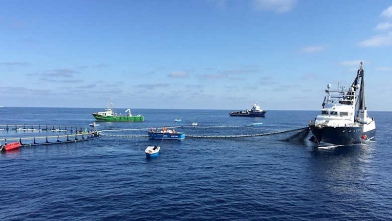 ep campana de pesca de atun rojo balfego