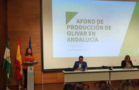 ep carmen crespo presenta el aforo del olivar 2022 2023