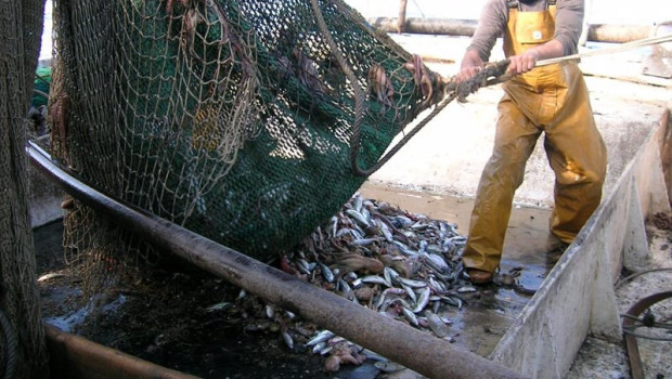 ep el pp pide al gobierno negociar con las flotas las restricciones a la pesca de arrastre en el