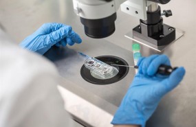 ep laboratorio 20190111120802 ep laboratorio 20190111120802