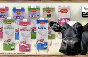 ep leche de lidl
