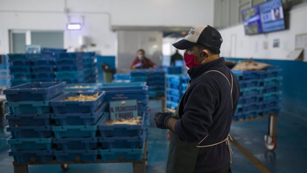 ep pescadores protegidos con mascarillas y guantes en la lonja pesquera de la cofradia de pescadores