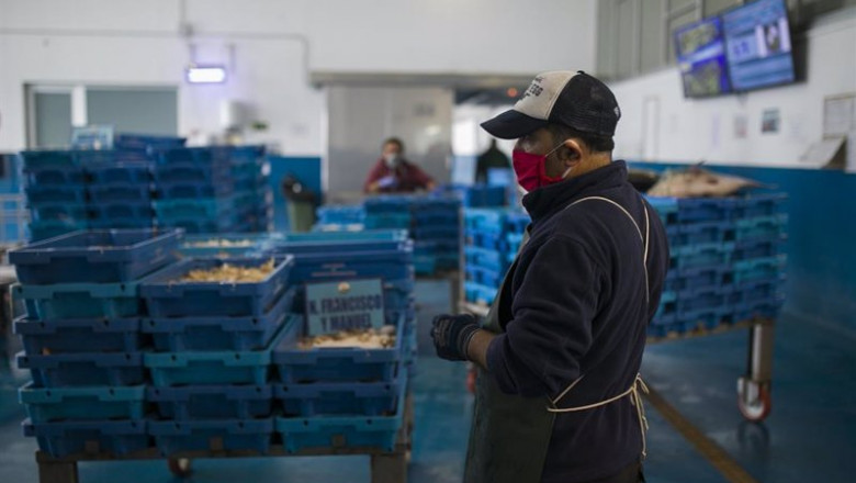 Pescadores protegidos con mascarillas y guantes en la lonja pesquera de la Cofradía de Pescadores de Sanlúcar de Barrameda | María José López - Europa Press - Archivo ep pescadores protegidos con mascarillas y guantes en la lonja pesquera de la cofradia de pescadores