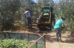 ep recoleccion agricola en andalucia
