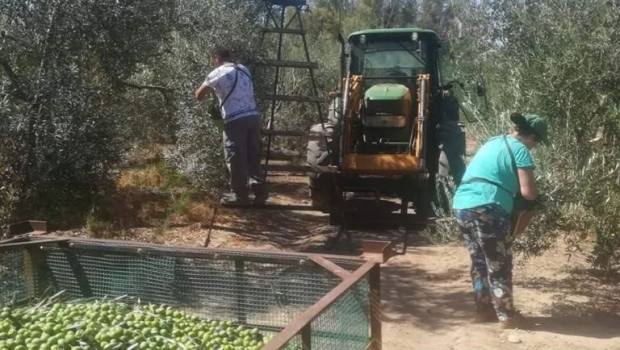 ep recoleccion agricola en andalucia