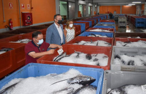 ep visita al puerto de santona con motivo de la costera del bonito