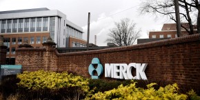 msd-merck msd-merck