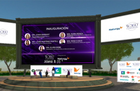 1593175308 sesion institucional