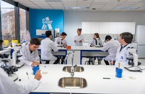 1654241588 fp dual 1654241588 fp dual