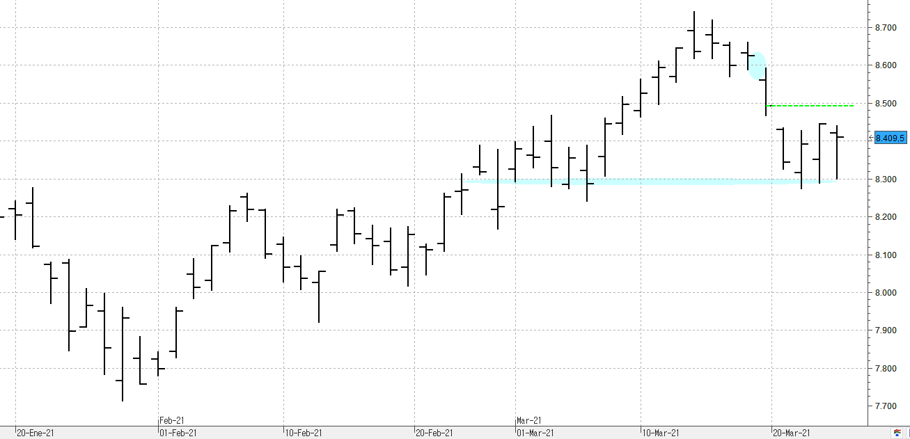 c250321ibex